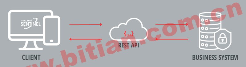 RESTful API 圖形與計(jì)算機(jī)、云和業(yè)務(wù)系統(tǒng)或服務(wù)器一起通信以進(jìn)行休息